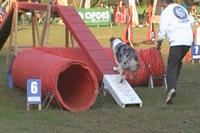 20111113_ag3.jpg