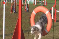 20111113_jp3.jpg