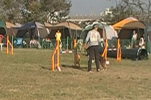 MOV07A-01.jpg