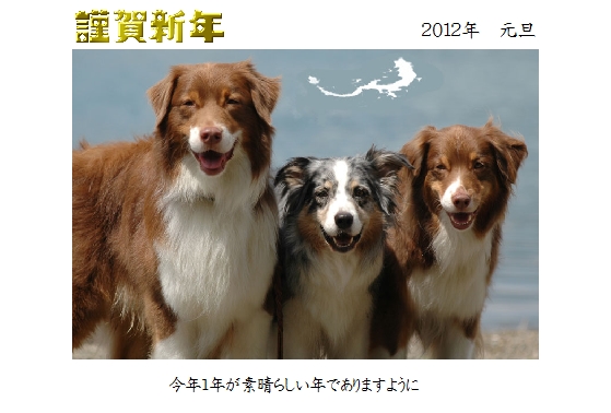 2012blog.jpg