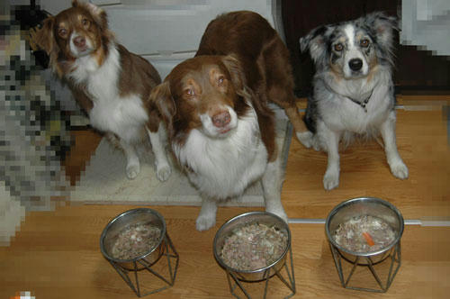 DSC_2007_1.jpg