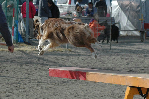 DSC_2116_2.jpg