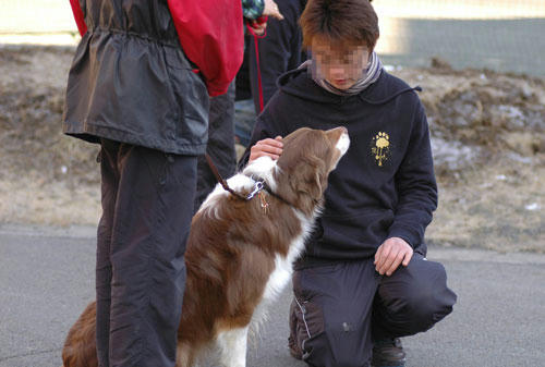 DSC_2407_1.jpg
