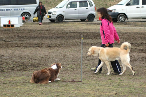 DSC_2684_1.jpg