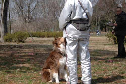 DSC_2757_5.jpg