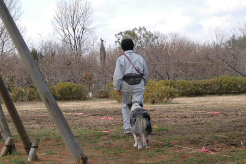 DSC_2765_6.jpg