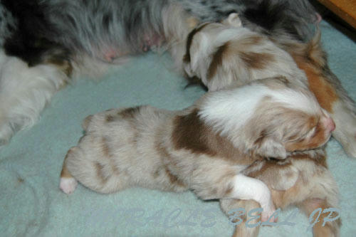 20120406_3.jpg