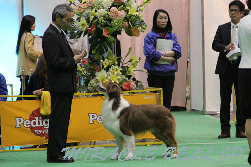 20120331_31.jpg