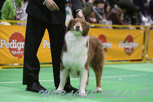 20120331_32.jpg
