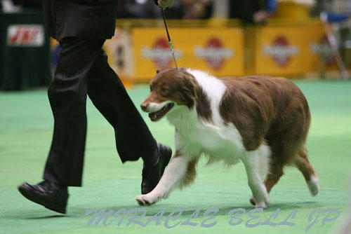 20120331_33.jpg
