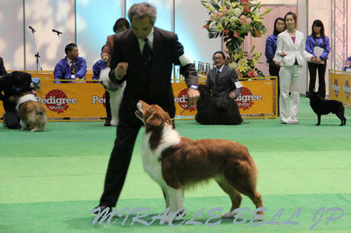 20120331_34.jpg