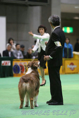 20120331_35.jpg