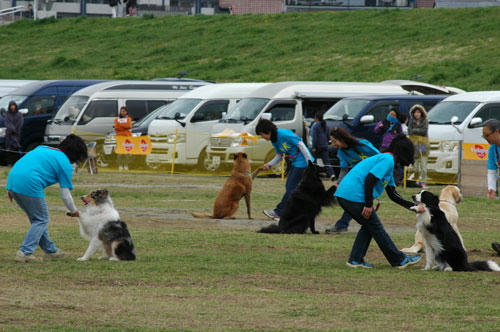 DSC_3446_1.jpg