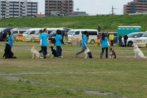 DSC_3453_1.jpg
