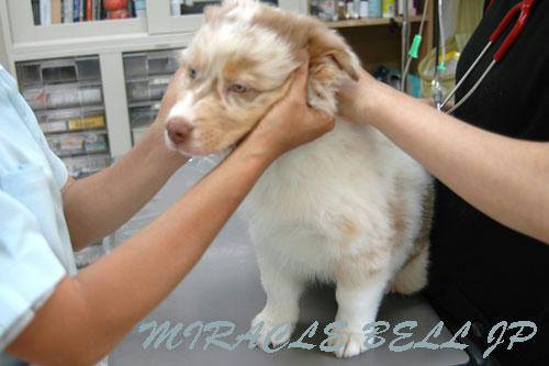 20120519_1.jpg