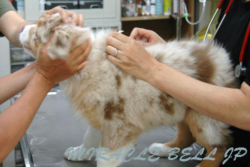 20120519_2.jpg