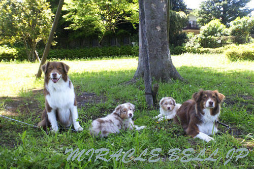 20120523_1.jpg