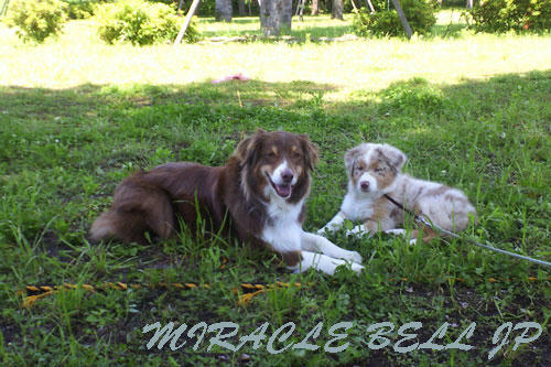 20120523_2.jpg