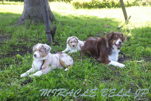 20120523_3.jpg