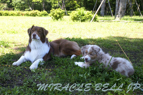 20120523_4.jpg