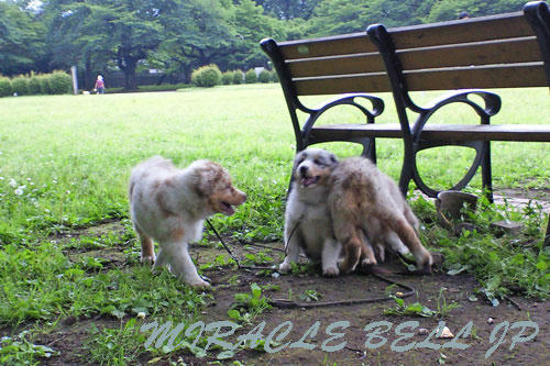 20120601_1.jpg