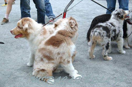 20120605_2.jpg