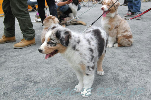 20120605_3.jpg