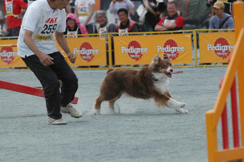 DSC_4517_1.jpg