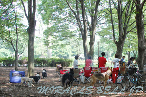 20120608_3.jpg