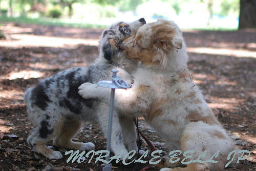 20120608_4.jpg