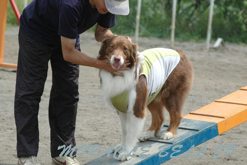 DSC_4785_1.jpg