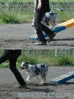 20120708_s1.jpg