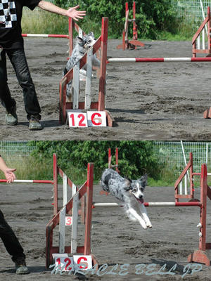 20120708_s3.jpg