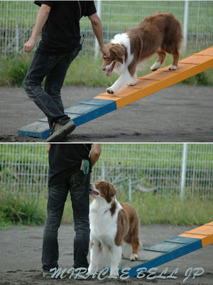 20120708_b2.jpg