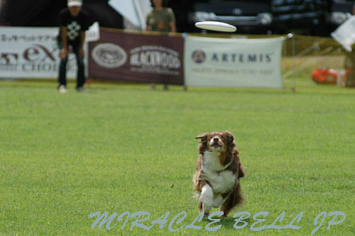 20120716_1.jpg