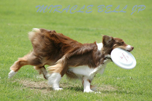20120716_2.jpg