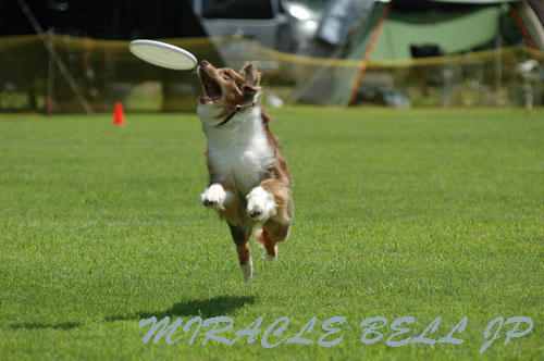 20120716_4.jpg