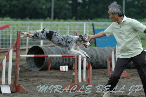 20120722_3.jpg