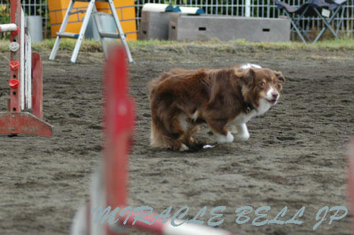 20120722_5.jpg