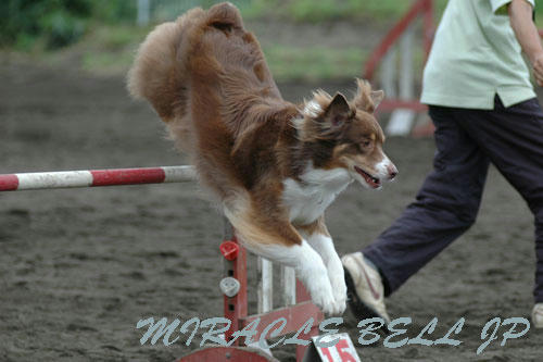 20120722_6.jpg