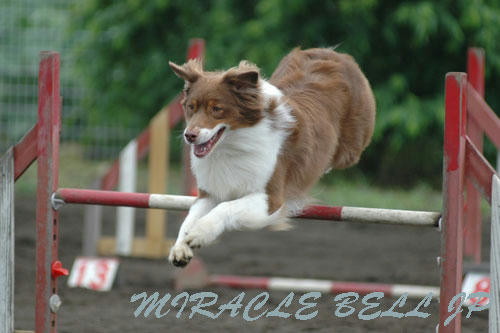 20120722_7.jpg