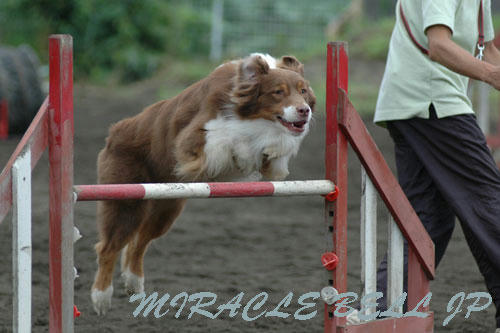 20120722_8.jpg