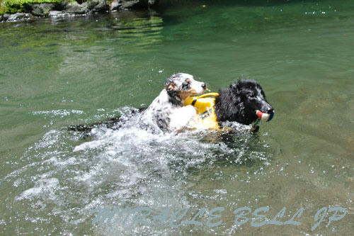 20120723_4.jpg