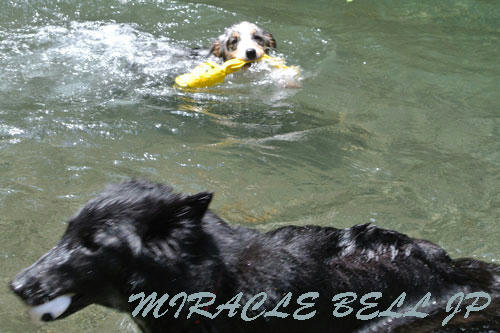 20120723_6.jpg