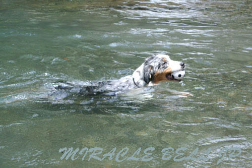20120723_1.jpg