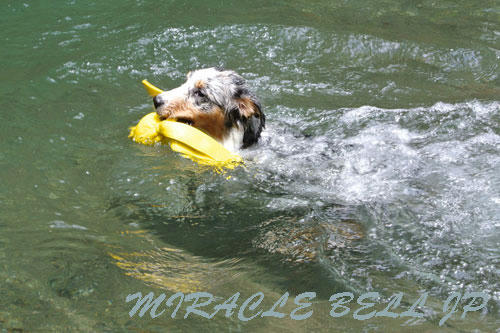 20120723_3.jpg