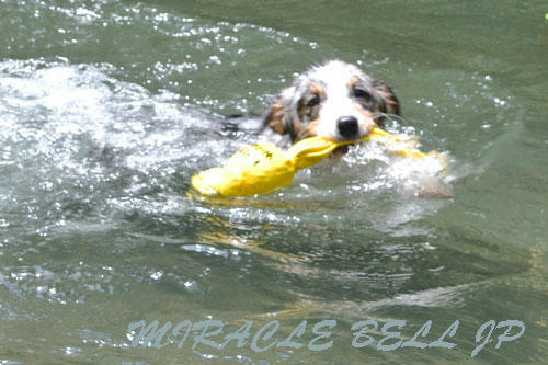 20120723_2.jpg