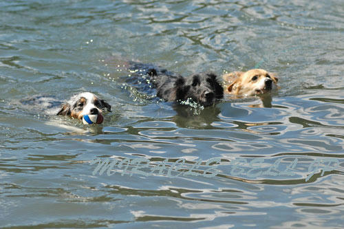 20120805_2.jpg