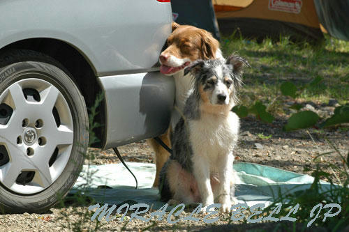 20120805_3.jpg