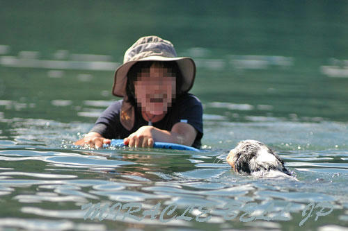 20120805_4.jpg